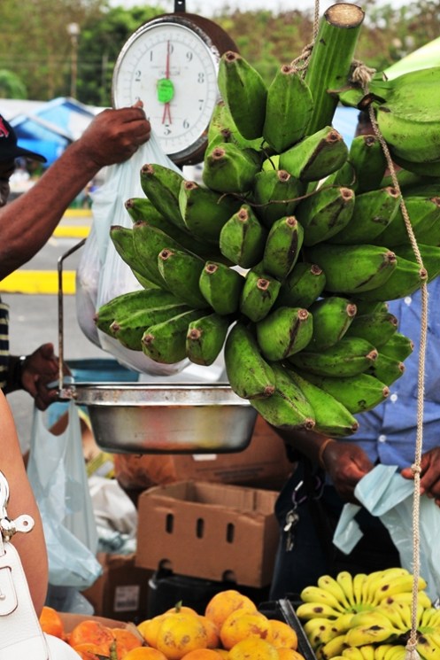 More green plantains